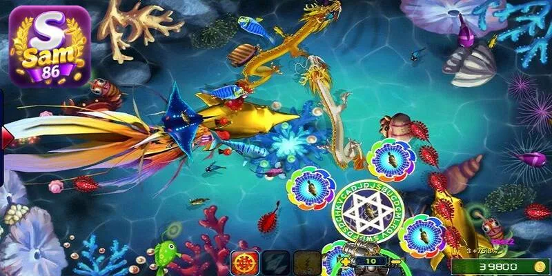 Người chơi cần lựa chọn cổng game uy tín để chơi bắn cá ăn xu Người chơi cần lựa chọn cổng game uy tín để chơi bắn cá ăn xu